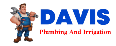 Trusted plumber in ORION